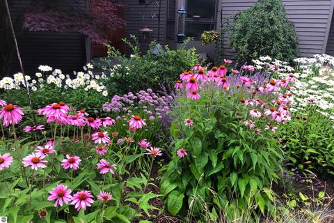 Tiny photo for 3151 Crystal Drive, Beulah, MI 49617 (MLS # 1941314)