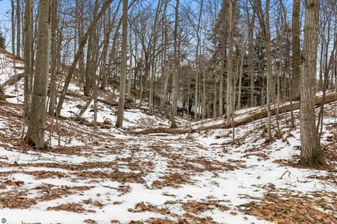 Tiny photo for 3151 Crystal Drive, Beulah, MI 49617 (MLS # 1941314)