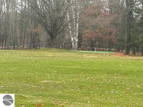 Tiny photo for 7353 Artesia Beach Road, St Helen, MI 48656 (MLS # 1940607)