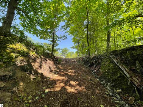 Tiny photo for S Lee Point Road, Suttons Bay, MI 49682 (MLS # 1938833)