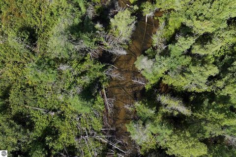 Tiny photo for 8324 Valley Road, Nw, Rapid City, MI 49676 (MLS # 1939845)