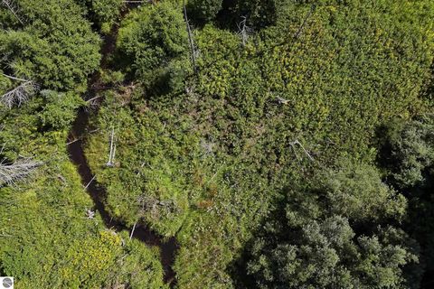 Tiny photo for 8324 Valley Road, Nw, Rapid City, MI 49676 (MLS # 1939845)