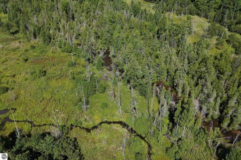 Tiny photo for 8324 Valley Road, Nw, Rapid City, MI 49676 (MLS # 1939845)