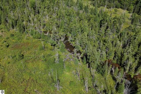 Tiny photo for 8324 Valley Road, Nw, Rapid City, MI 49676 (MLS # 1939845)