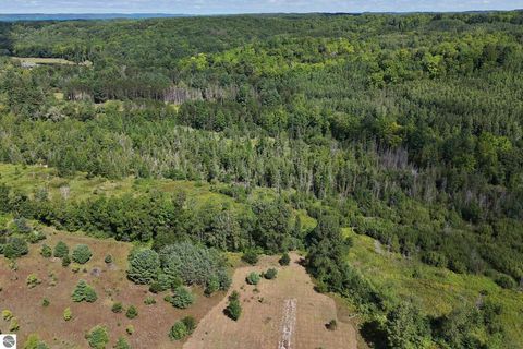 Tiny photo for 8324 Valley Road, Nw, Rapid City, MI 49676 (MLS # 1939845)