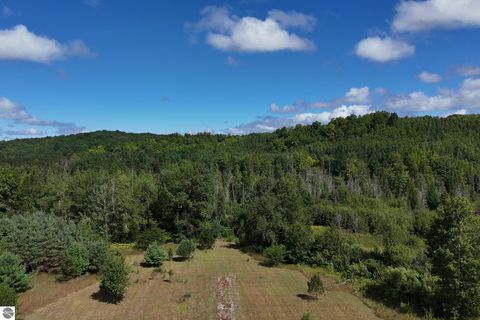 Photo of 8324 Valley Road, Nw, Rapid City, MI 49676 (MLS # 1939845)