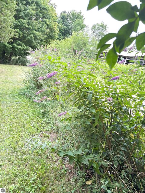 Tiny photo for 1660 W Wing Road, Mt Pleasant, MI 48858 (MLS # 1939496)