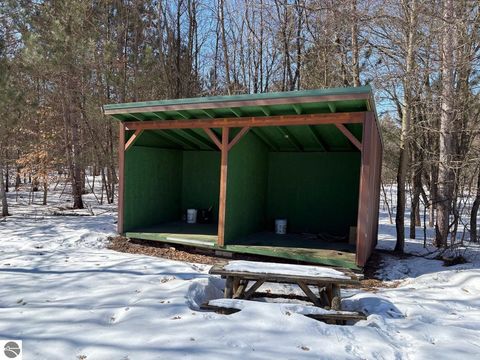 Tiny photo for 12355 9 Mile Road, Kaleva, MI 49645 (MLS # 1942718)