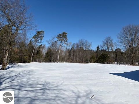 Tiny photo for 12355 9 Mile Road, Kaleva, MI 49645 (MLS # 1942718)