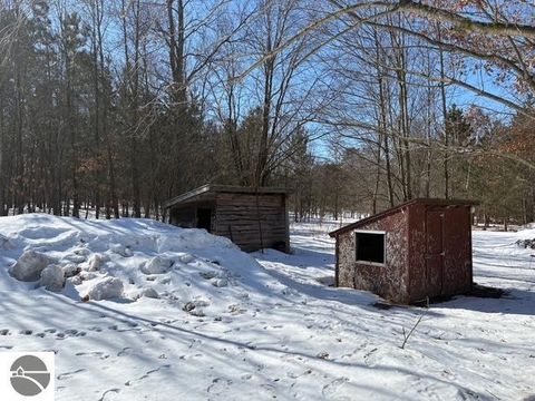 Tiny photo for 12355 9 Mile Road, Kaleva, MI 49645 (MLS # 1942718)