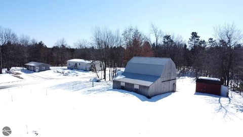 Photo of 12355 9 Mile Road, Kaleva, MI 49645 (MLS # 1942718)