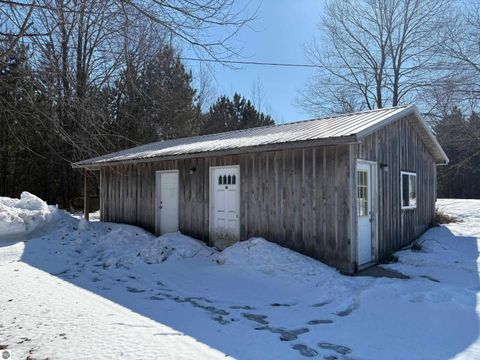 Tiny photo for 12355 9 Mile Road, Kaleva, MI 49645 (MLS # 1942718)