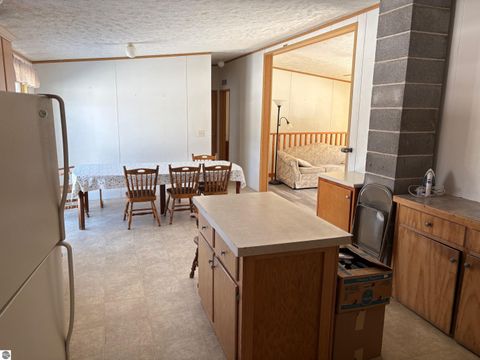 Tiny photo for 12355 9 Mile Road, Kaleva, MI 49645 (MLS # 1942718)