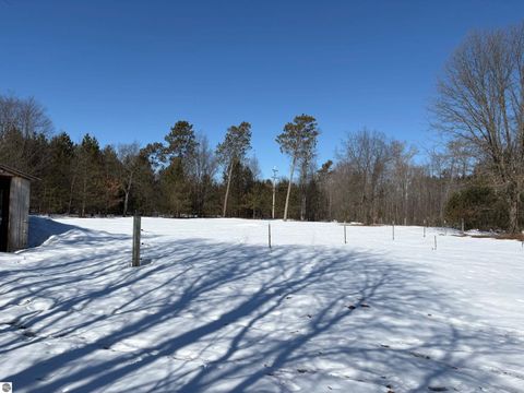 Tiny photo for 12355 9 Mile Road, Kaleva, MI 49645 (MLS # 1942718)