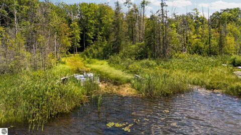 Tiny photo for 10000 Harmony Drive, Interlochen, MI 49643 (MLS # 1947744)