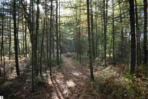 Tiny photo for 2230 US-23 N, East Tawas, MI 48730 (MLS # 1951923)