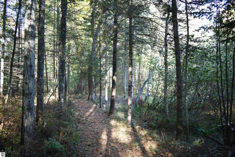Tiny photo for 2230 US-23 N, East Tawas, MI 48730 (MLS # 1951923)