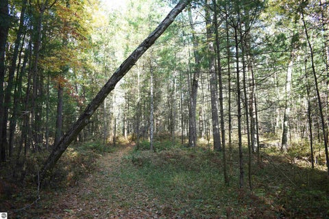 Tiny photo for 2230 US-23 N, East Tawas, MI 48730 (MLS # 1951923)