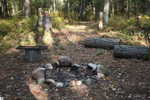 Tiny photo for 2230 US-23 N, East Tawas, MI 48730 (MLS # 1951923)