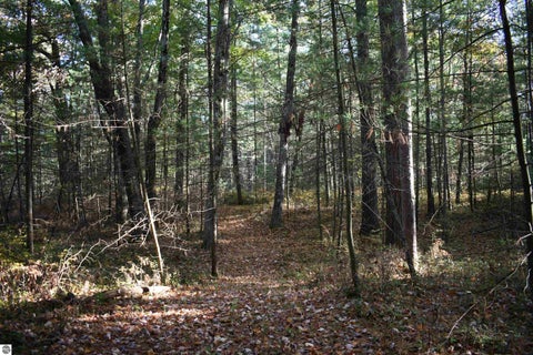 Tiny photo for 2230 US-23 N, East Tawas, MI 48730 (MLS # 1951923)