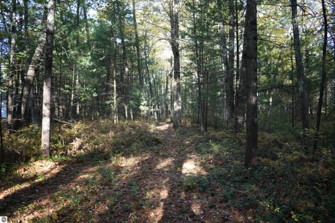 Tiny photo for 2230 US-23 N, East Tawas, MI 48730 (MLS # 1951923)