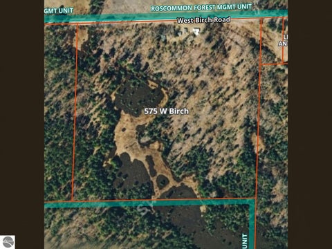 Tiny photo for 575 W Birch Road, Roscommon, MI 48653 (MLS # 1950530)