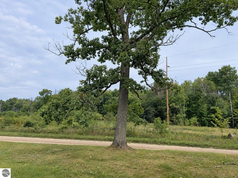 Tiny photo for 575 W Birch Road, Roscommon, MI 48653 (MLS # 1950530)