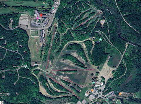 Tiny photo for 2400 Troon South #4102, Bellaire, MI 49615 (MLS # 1941923)