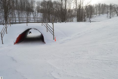 Tiny photo for 2400 Troon South #4102, Bellaire, MI 49615 (MLS # 1941923)