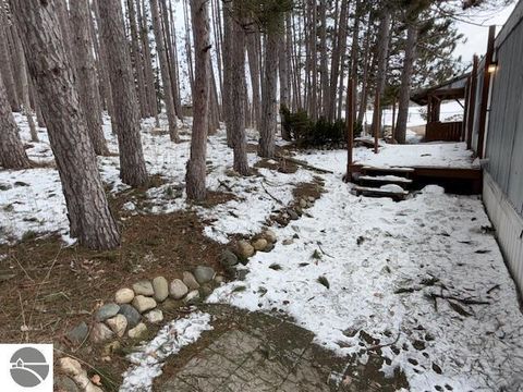 Tiny photo for 8923 E 18 1/2 Road, Manton, MI 49663 (MLS # 1943190)