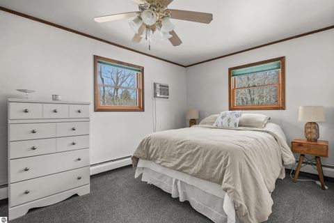 Tiny photo for 9561 Peterson Drive, Cadillac, MI 49601 (MLS # 1941729)