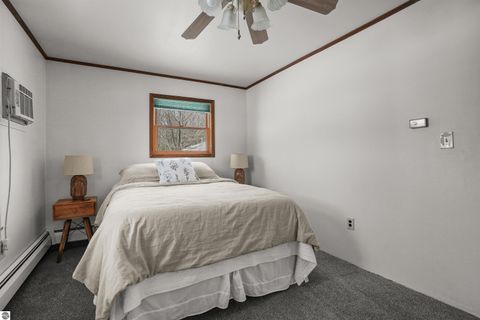 Tiny photo for 9561 Peterson Drive, Cadillac, MI 49601 (MLS # 1941729)