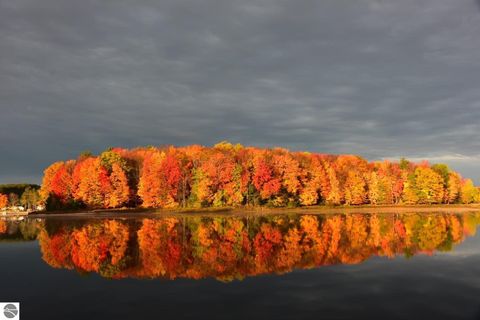 Tiny photo for 9561 Peterson Drive, Cadillac, MI 49601 (MLS # 1941729)