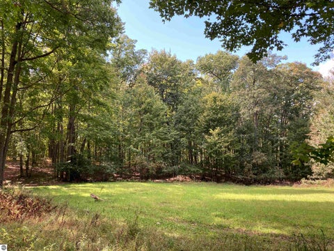 Tiny photo for 5113 Sawyer Lane, Rose City, MI 48654 (MLS # 1950906)