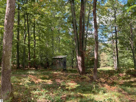 Tiny photo for 5113 Sawyer Lane, Rose City, MI 48654 (MLS # 1950906)