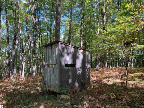 Tiny photo for 5113 Sawyer Lane, Rose City, MI 48654 (MLS # 1950906)