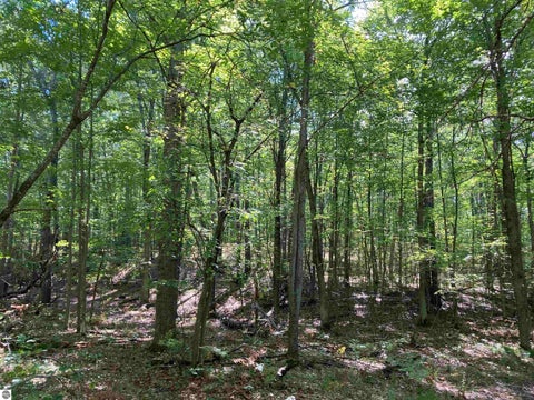 Tiny photo for 5113 Sawyer Lane, Rose City, MI 48654 (MLS # 1950906)