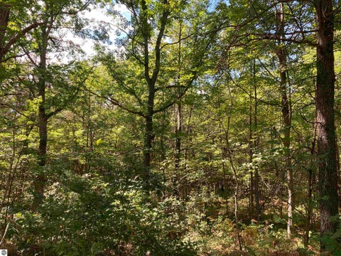 Tiny photo for 5113 Sawyer Lane, Rose City, MI 48654 (MLS # 1950906)