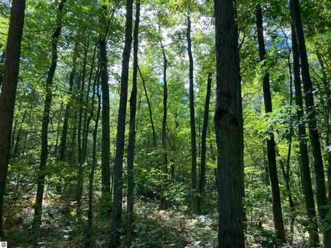 Tiny photo for 5113 Sawyer Lane, Rose City, MI 48654 (MLS # 1950906)