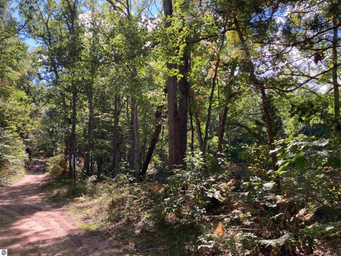 Tiny photo for 5113 Sawyer Lane, Rose City, MI 48654 (MLS # 1950906)