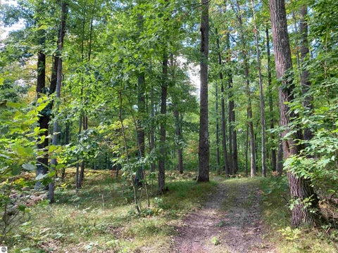 Tiny photo for 5113 Sawyer Lane, Rose City, MI 48654 (MLS # 1950906)