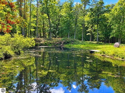 Tiny photo for 5113 Sawyer Lane, Rose City, MI 48654 (MLS # 1950906)