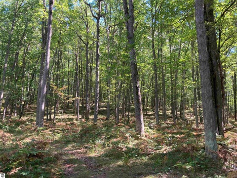Tiny photo for 5113 Sawyer Lane, Rose City, MI 48654 (MLS # 1950906)