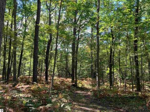 Tiny photo for 5113 Sawyer Lane, Rose City, MI 48654 (MLS # 1950906)