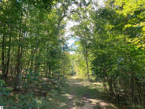 Tiny photo for 5113 Sawyer Lane, Rose City, MI 48654 (MLS # 1950906)