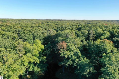Tiny photo for 5113 Sawyer Lane, Rose City, MI 48654 (MLS # 1950906)