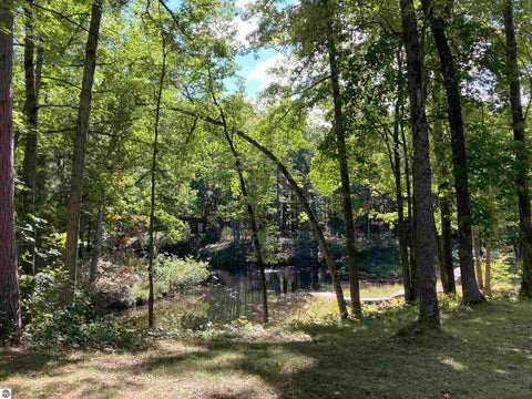 Tiny photo for 5113 Sawyer Lane, Rose City, MI 48654 (MLS # 1950906)