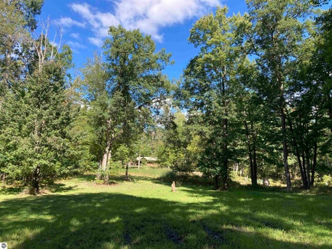 Tiny photo for 5113 Sawyer Lane, Rose City, MI 48654 (MLS # 1950906)
