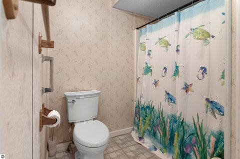 Tiny photo for 302 Fern Avenue, Cadillac, MI 49601 (MLS # 1942600)