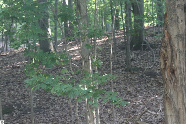 LOT 20 CRYSTAL VIEW COMMONS, BEULAH, MI 49617 - Image 0572bf5172b79e4b140ff102bd321e0e/436612760